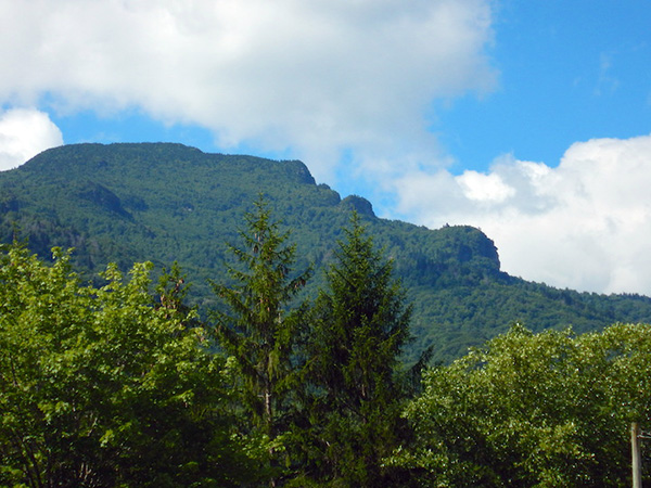 grandfather mountain