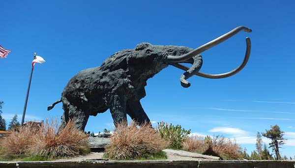 mammoth mammoth