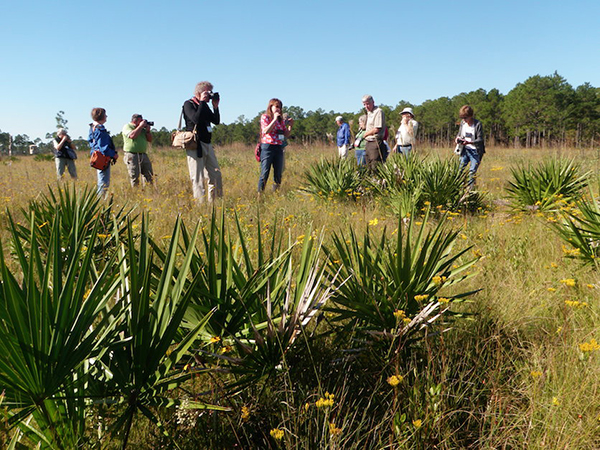 sandhill field trip