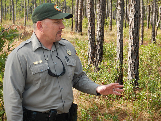 ranger jeff davis