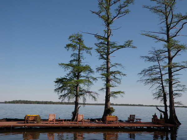 reelfoot lake