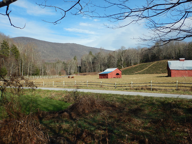 southwest virginia farm