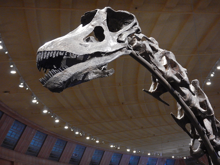 dinosaur hall cincinnati museum center