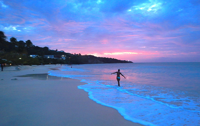 grenada beachcomber