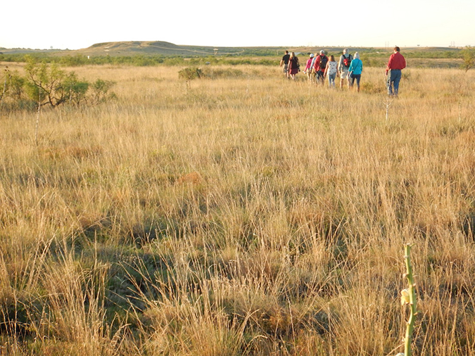 wildcat bluff nature center