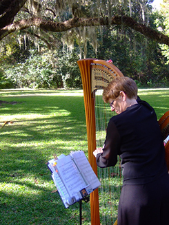 wedding harpist