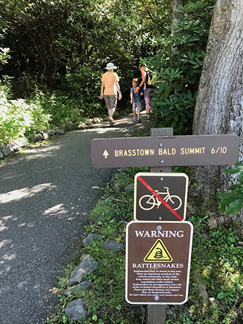 brasstown bald trail