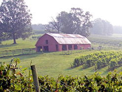 dahlonega georgia