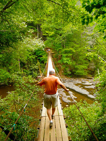 fall creek falls suspension bridge
