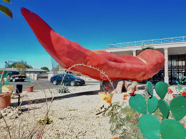 47 foot long chile from mexico