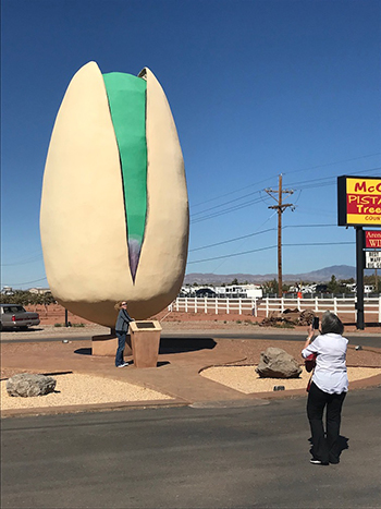 world's largest pistachio