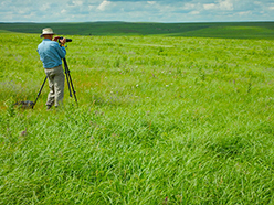 flint hills tallgrass prairie