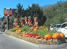 gatlinburg fall getaway