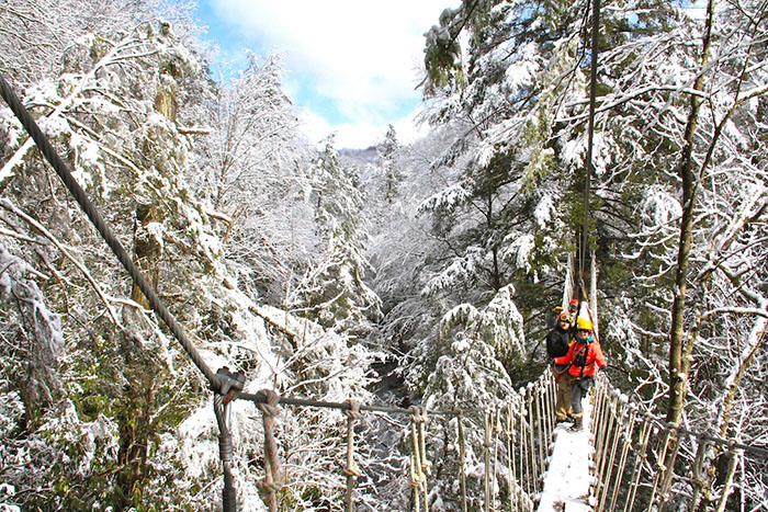 new river gorge zipline trail