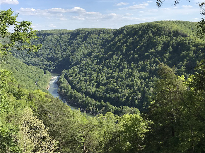 New River Gorge view
