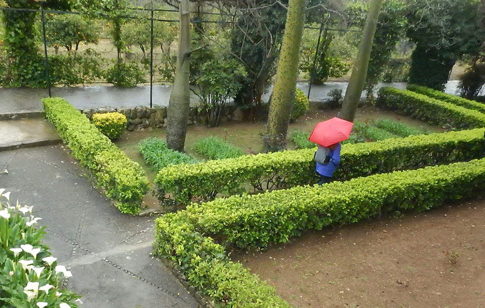 alfabia garden