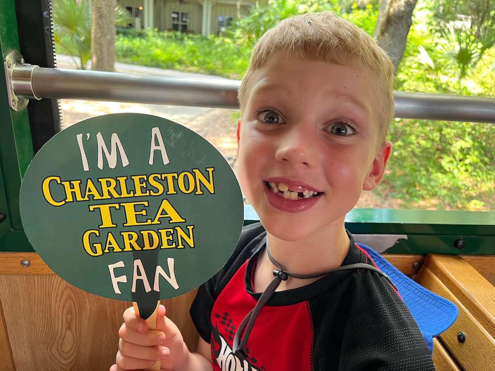 Charleston Tea Garden fan