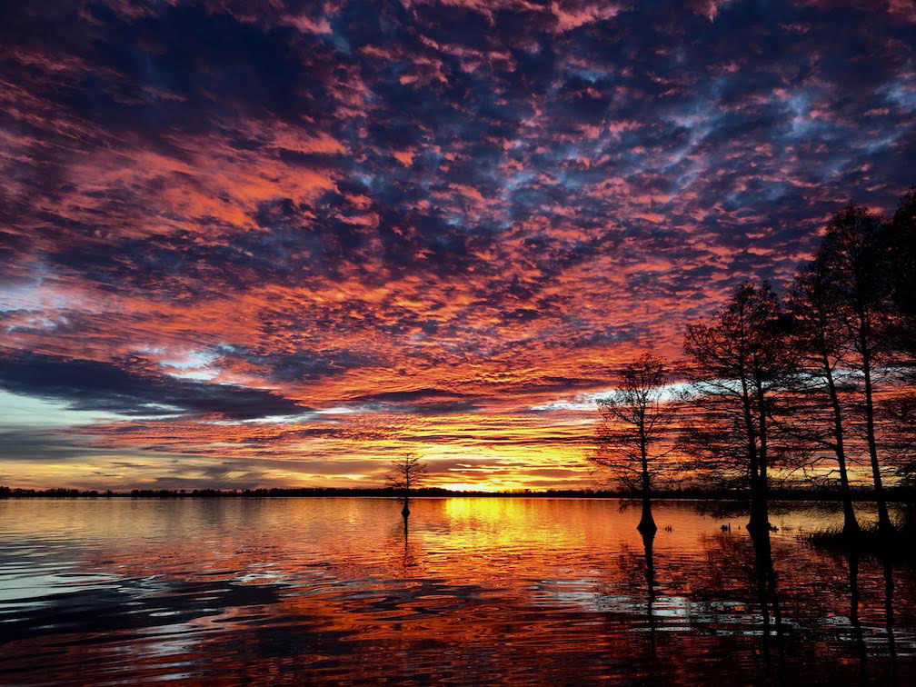 reelfoot lake sunset