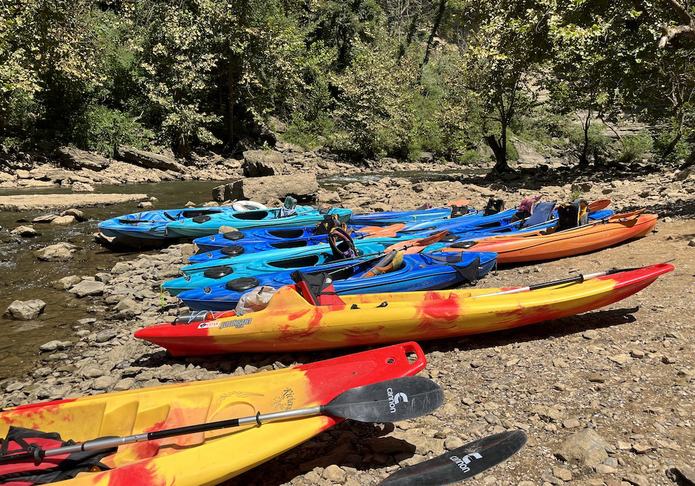 kayakers