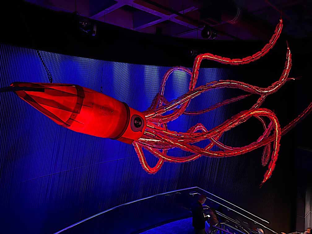 giant squid sculpture