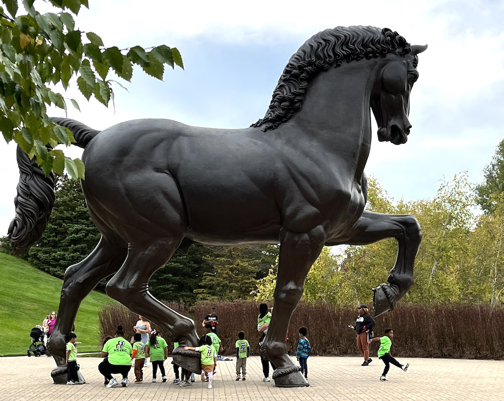 american horse