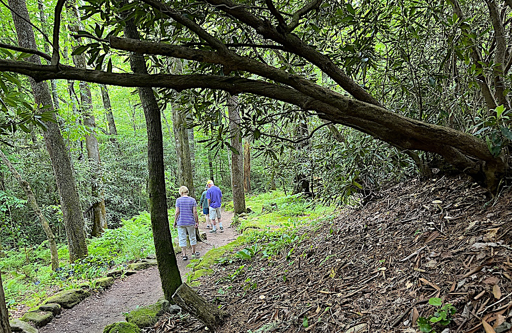 highlands nature center trail