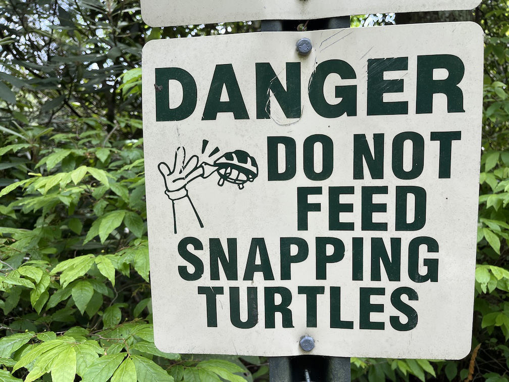 snapping turtle sign
