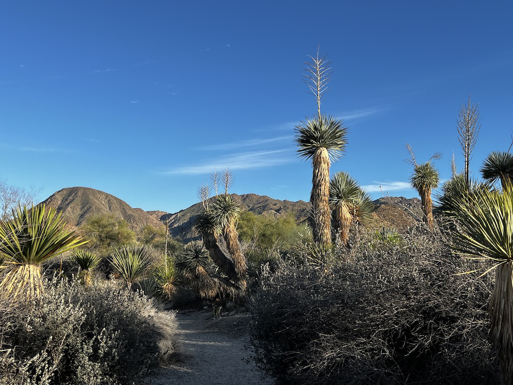 hiking trails