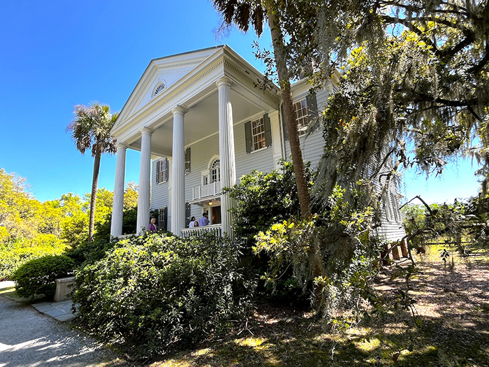 mcleod plantation