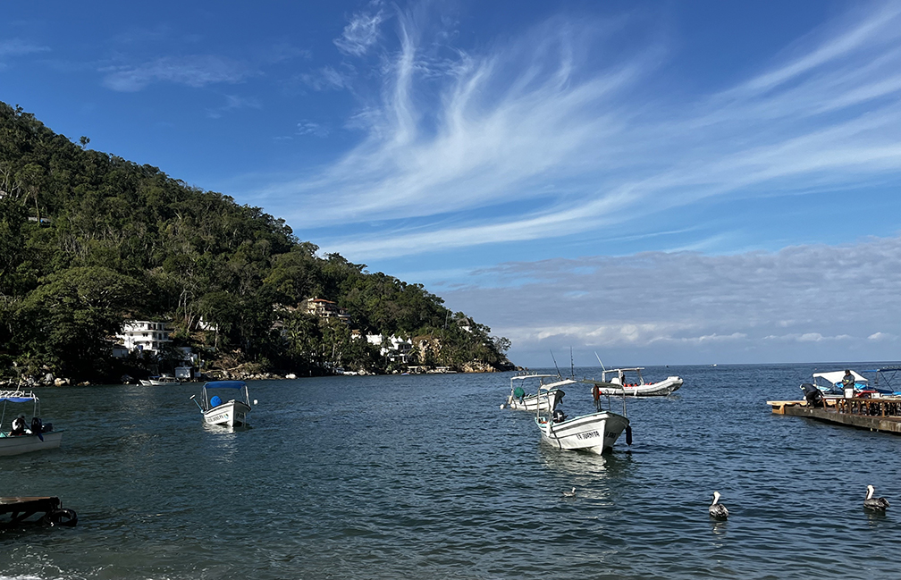 boca de tomatlan harbor