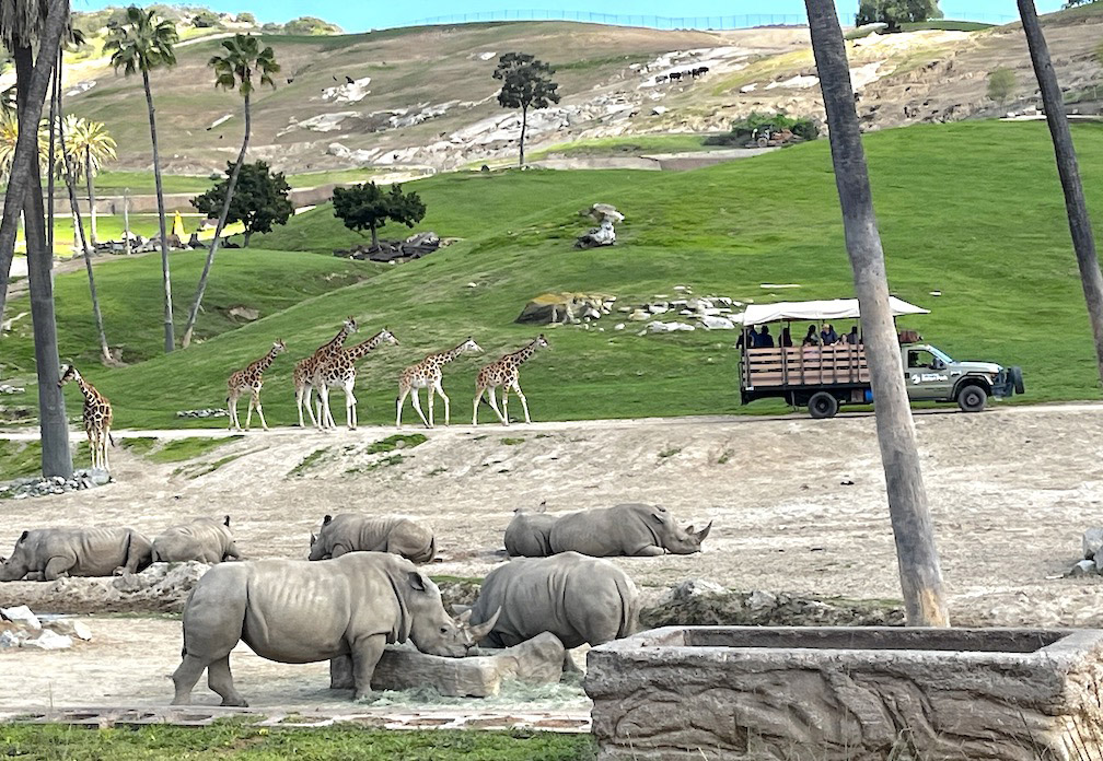 san diego zoo safari park