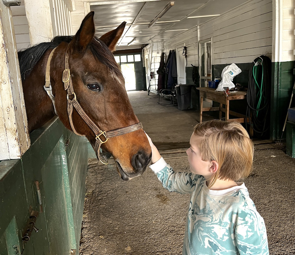 horse stable kentucky