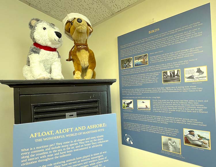 maritime museum pets