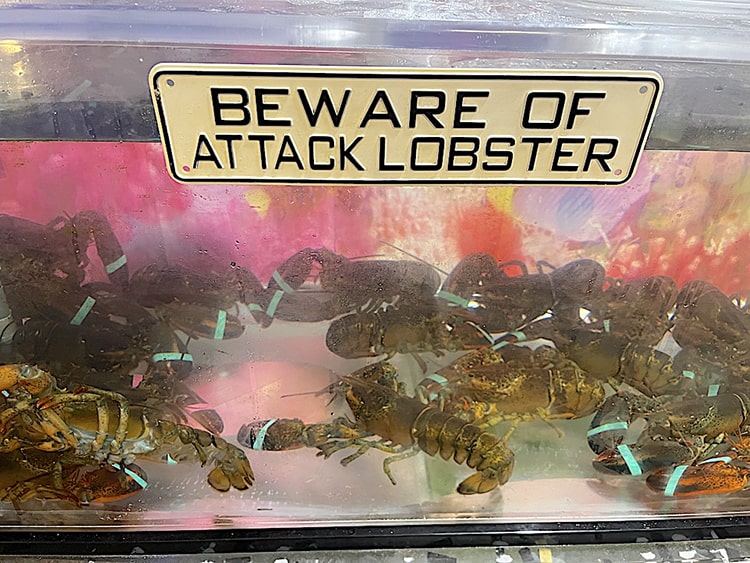 lobster tank