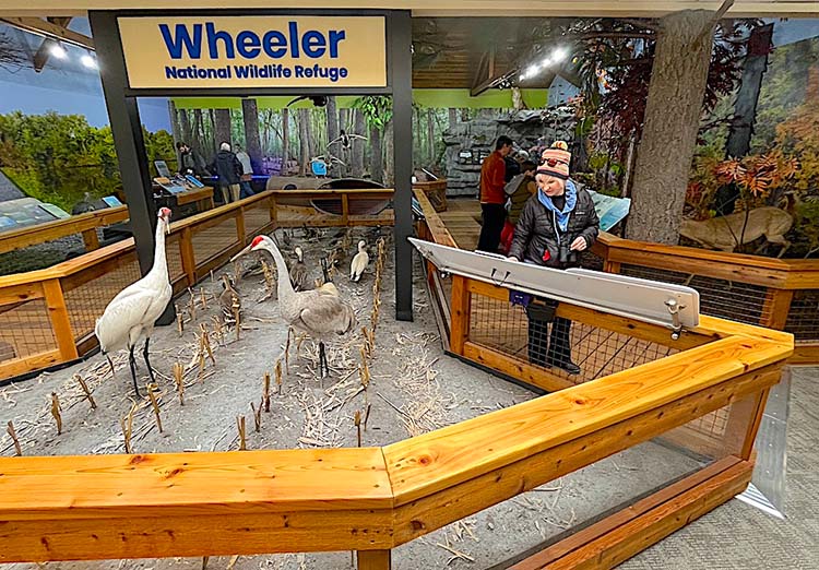 wheeler national wildlife refuge