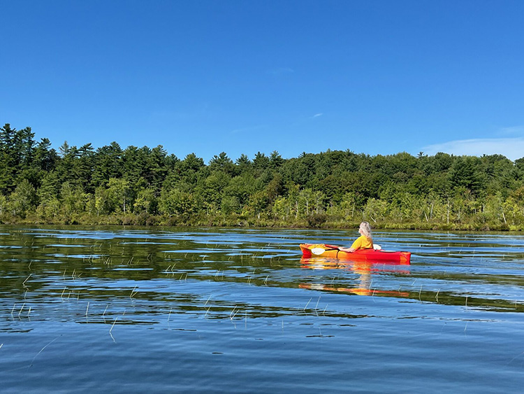 maine kayaker