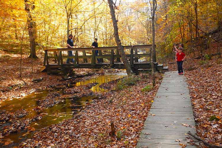 Stillhouse Hollow Falls