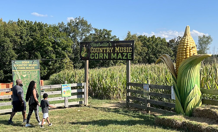 tennessee farm corn maze