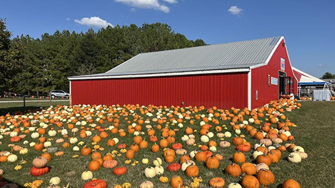 tennessee farm