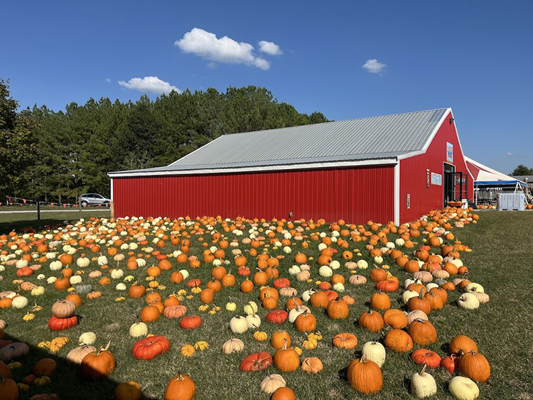 tennessee farm