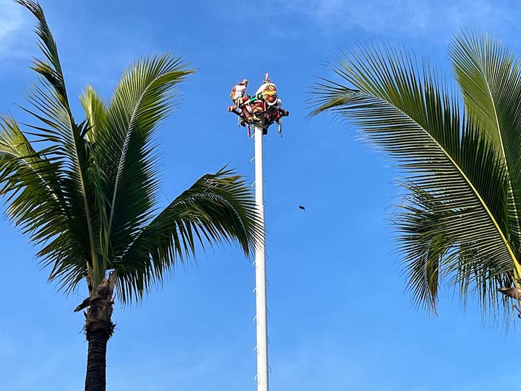 Voladores Papantla