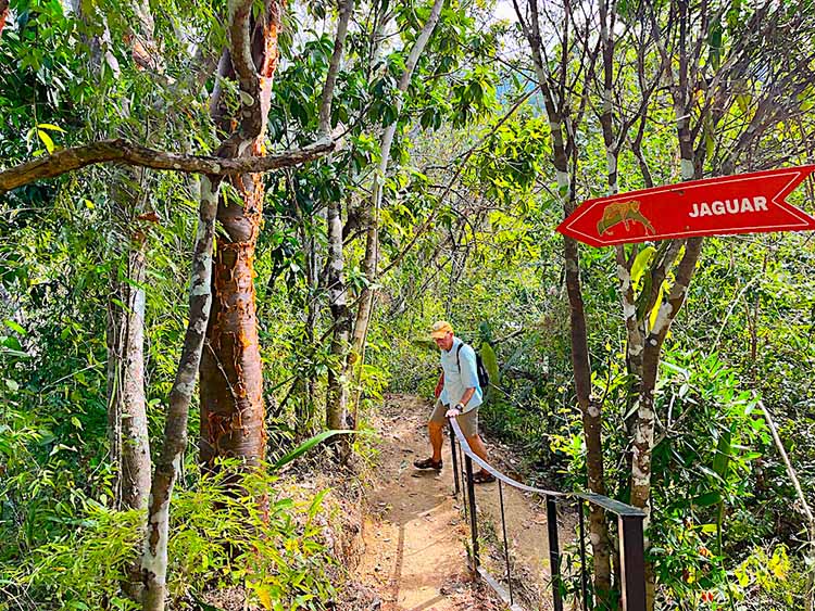 Jaguar Trail