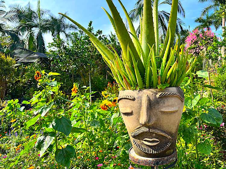 Vallarta Botanical Garden