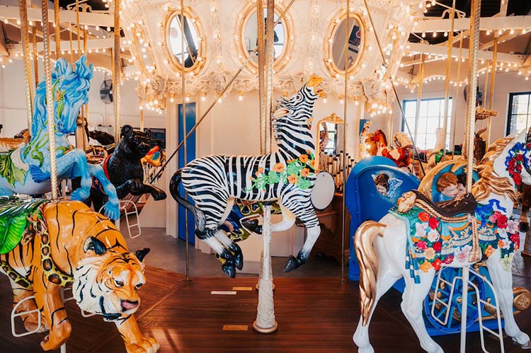 zebra carousel