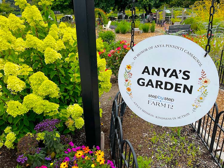 Anya's Garden