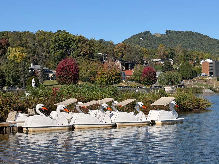 Lake Junaluska swan boats
