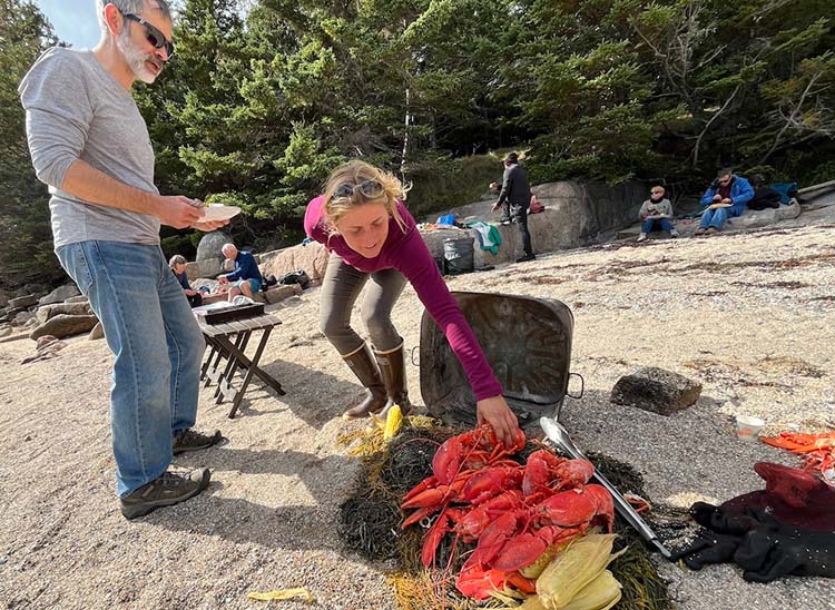 Maine lobster