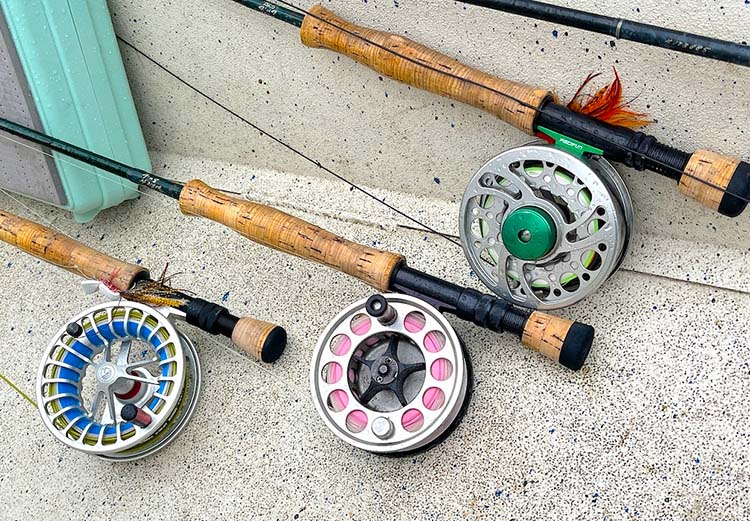 fishing rods
