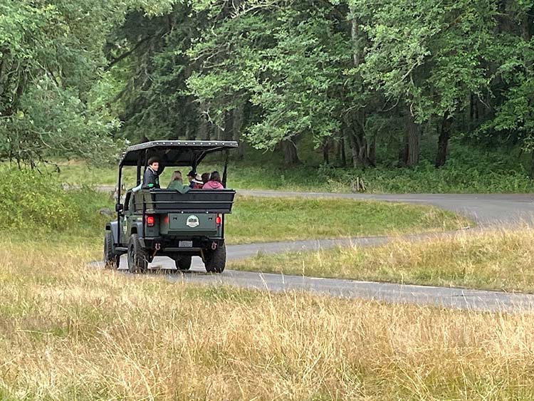Northwest Trek jeep tour