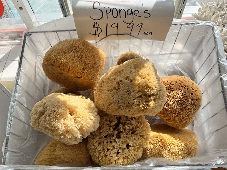 high grade sponges